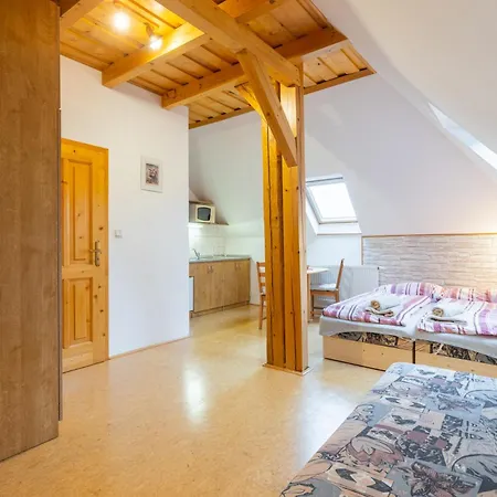 Apartment Chlustov